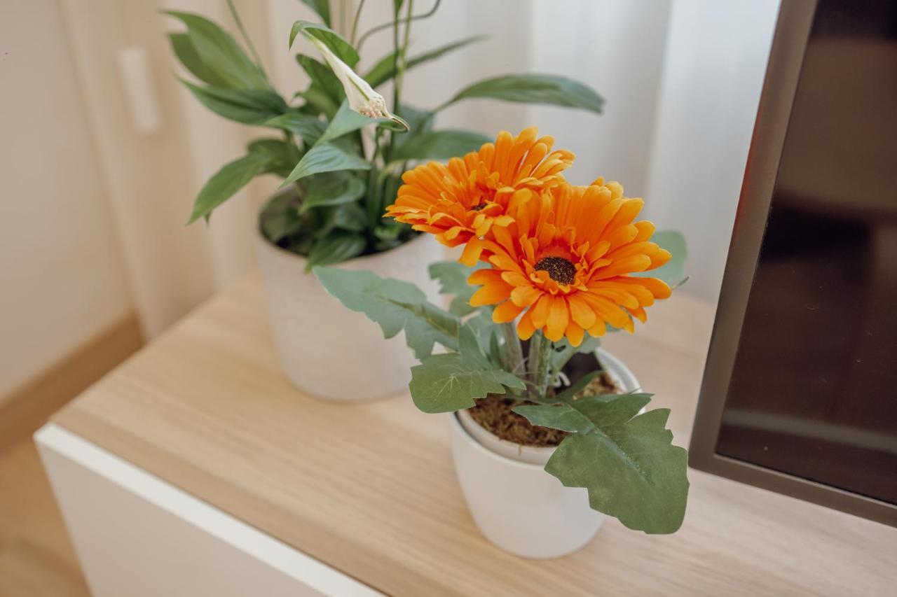 Modern Trindade By Homing Apartment ปอร์โต ภายนอก รูปภาพ